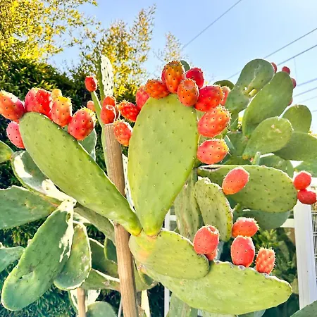 Rosa Del Mare - Fronte Mare Di Design Con Camino E Giardino Privato *
